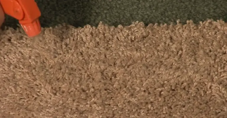 How to Get Epoxy Out of Carpet
